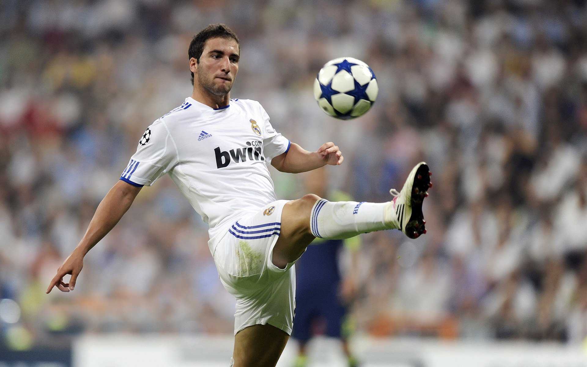 阿尔及利亚爆冷马里，当非洲篮球的暗流，冲垮了NBA总决赛的焦点