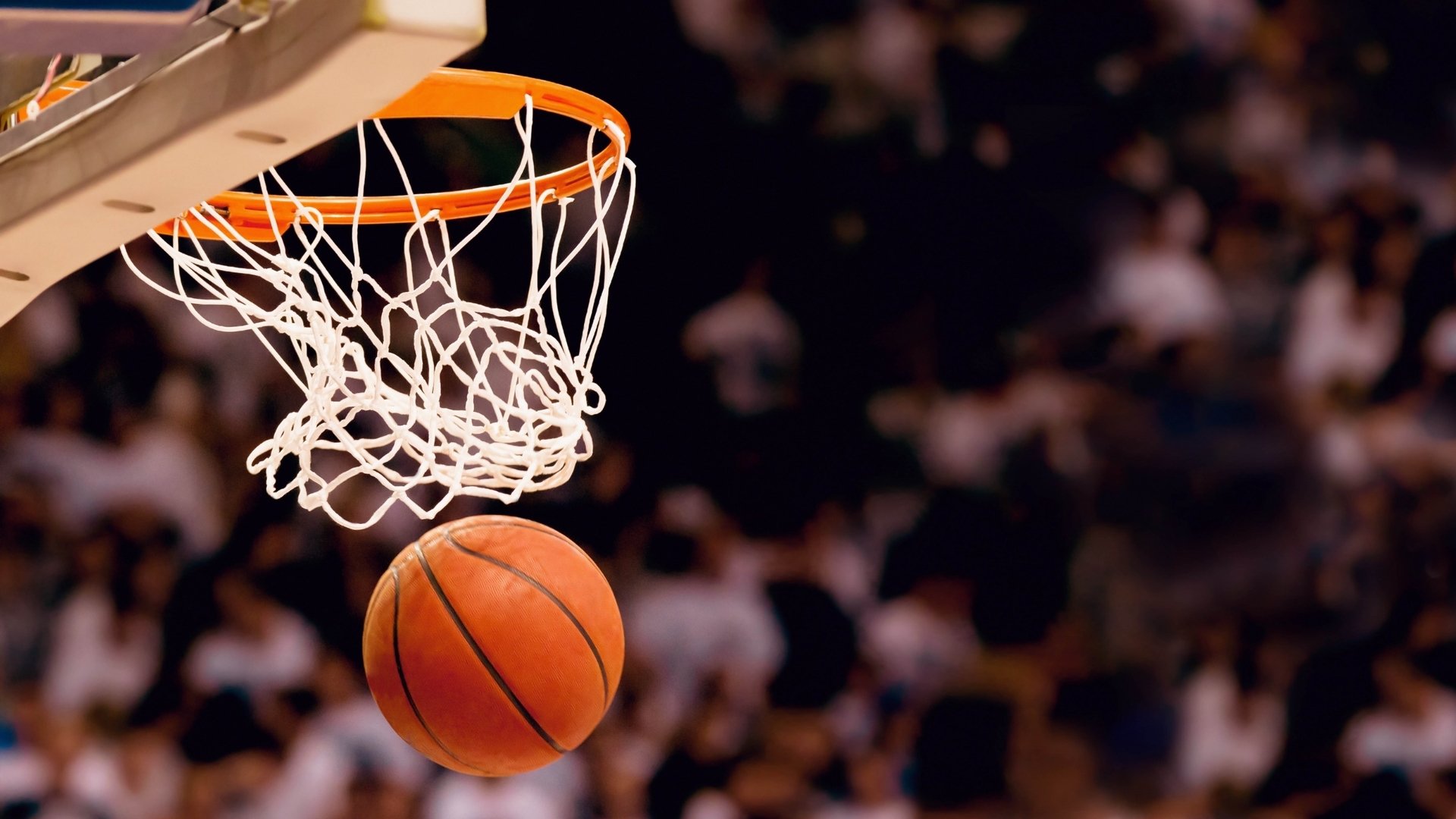 开云下载-致命一擊，斯洛伐克快打旋風，荷蘭郁金香凋零在B組之夜